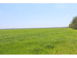 Property photo 29 - OKLAHOMA LAND AUCTION, 550+/- Acres offered in 7 Tracts